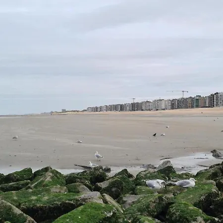 In St-idesbald Near The Sea, Cleaning Included *
