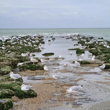 아파트 In St-idesbald Near The Sea, Cleaning Included 코크시데