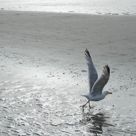 In St-idesbald Near The Sea, Cleaning Included 아파트
