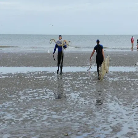 In St-idesbald Near The Sea, Cleaning Included *